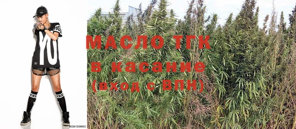 индика Верея