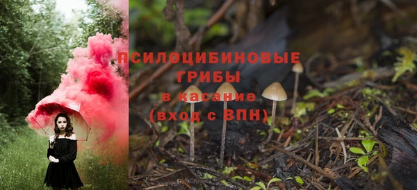 индика Верея
