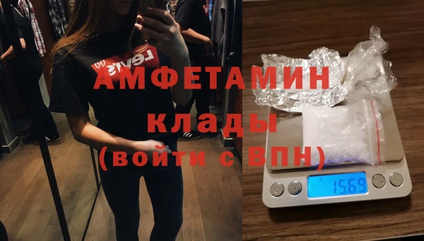 индика Верея